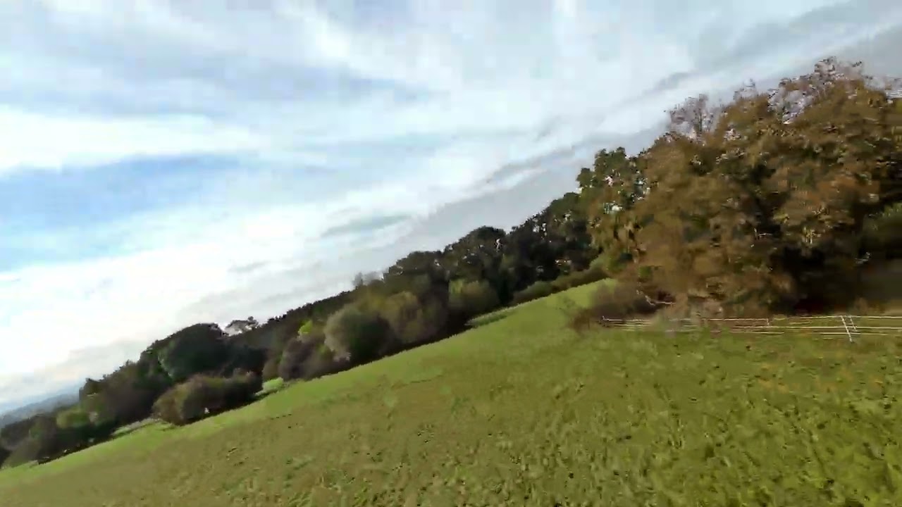 7 Linden Filderstdt Avata 2