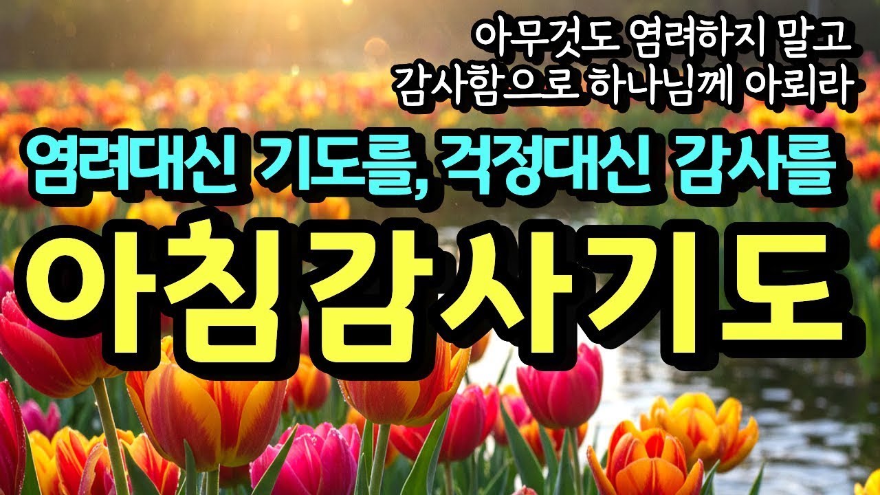 염려 대신 기도를 걱정 대신 감사를, 아침감사기도 ㅣ 아침기도ㅣ 아무것도 염려하지 말고 감사함으로 하나님께 아뢰라
