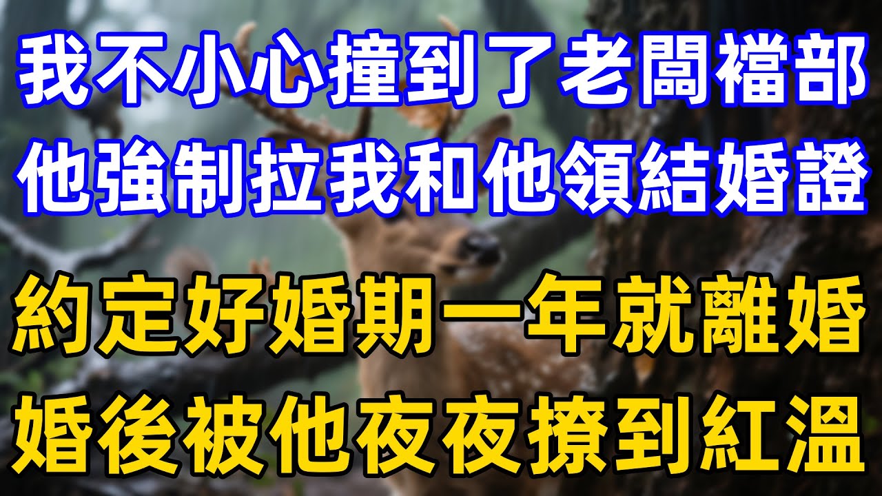 我不小心撞到了老闆襠部，他強制拉我和他領結婚證，約定好婚期一年就離婚，婚後被他夜夜撩到紅溫！……#情感故事 #家庭故事 #夫妻生活 #一口气看完 #完结文 #故事頻道 #小说推荐 #小说听书