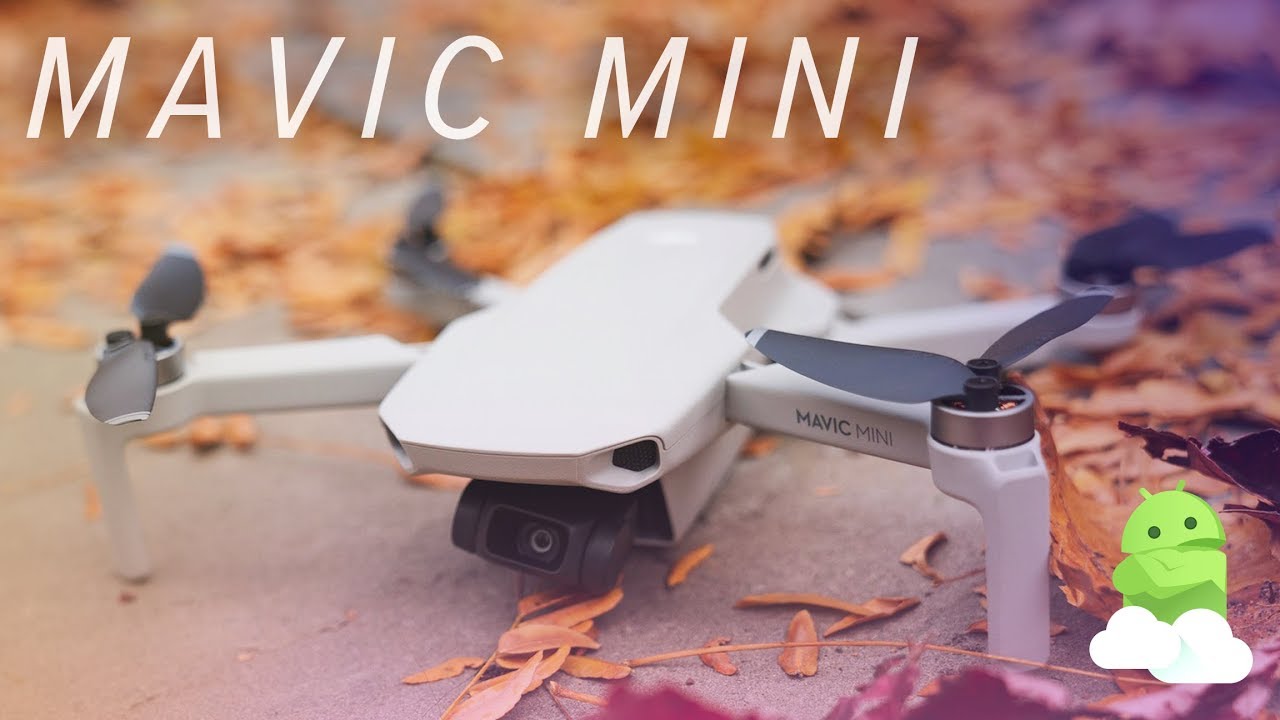 DJI Mavic Mini review: The perfect starter drone