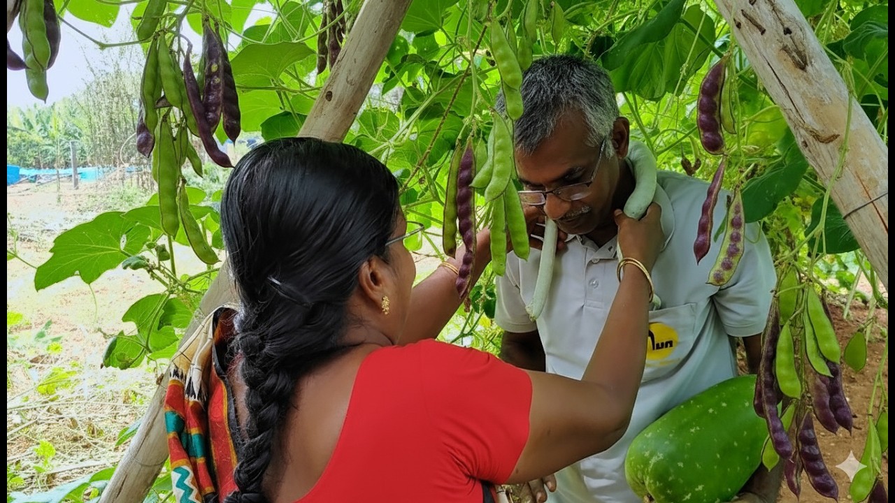 🍅🍆🫛Koli Avarai அறுவடை | Harvest Vlog #farming #comedy