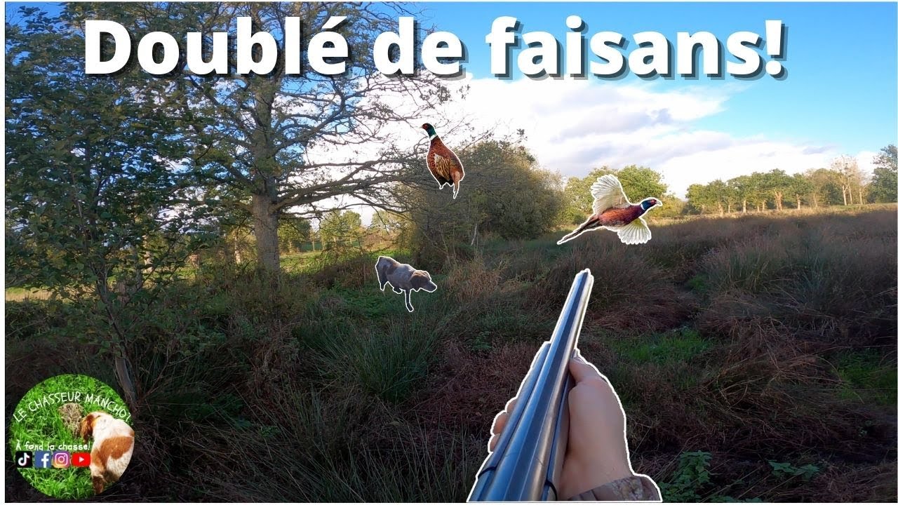 Mon Premier DOUBLÉ de faisans il y en a PARTOUT!!!