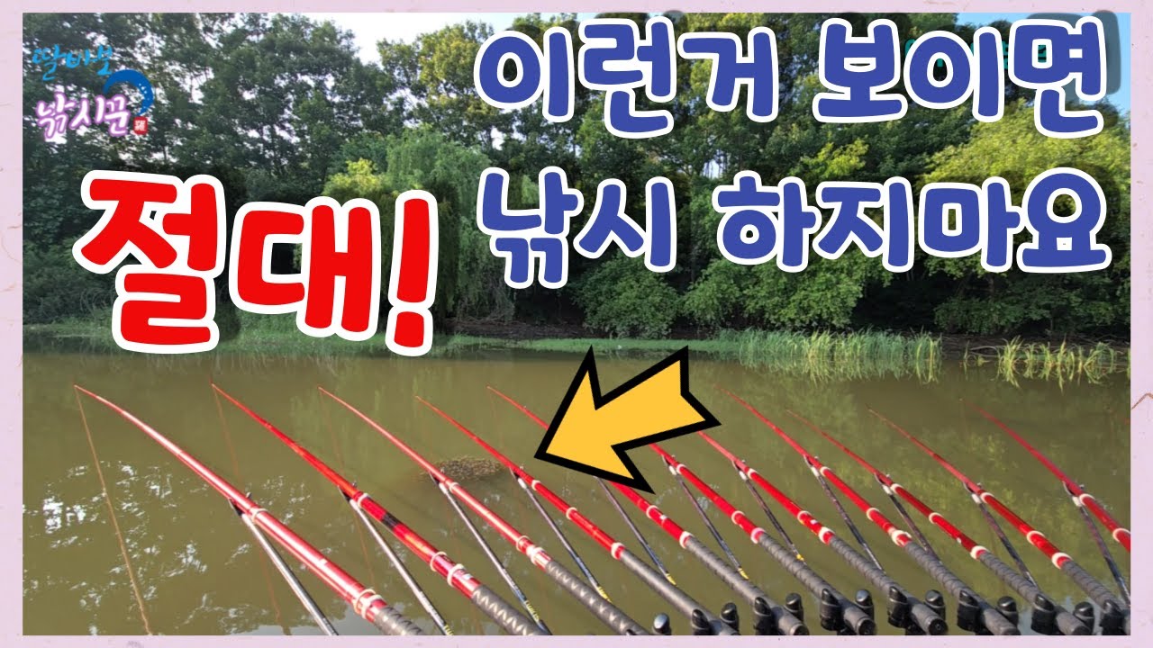 보트낚시의 메카! 옥산지로~ #부여 #대물터 #한방터 #배수기 #갈겨니 #가물치집
