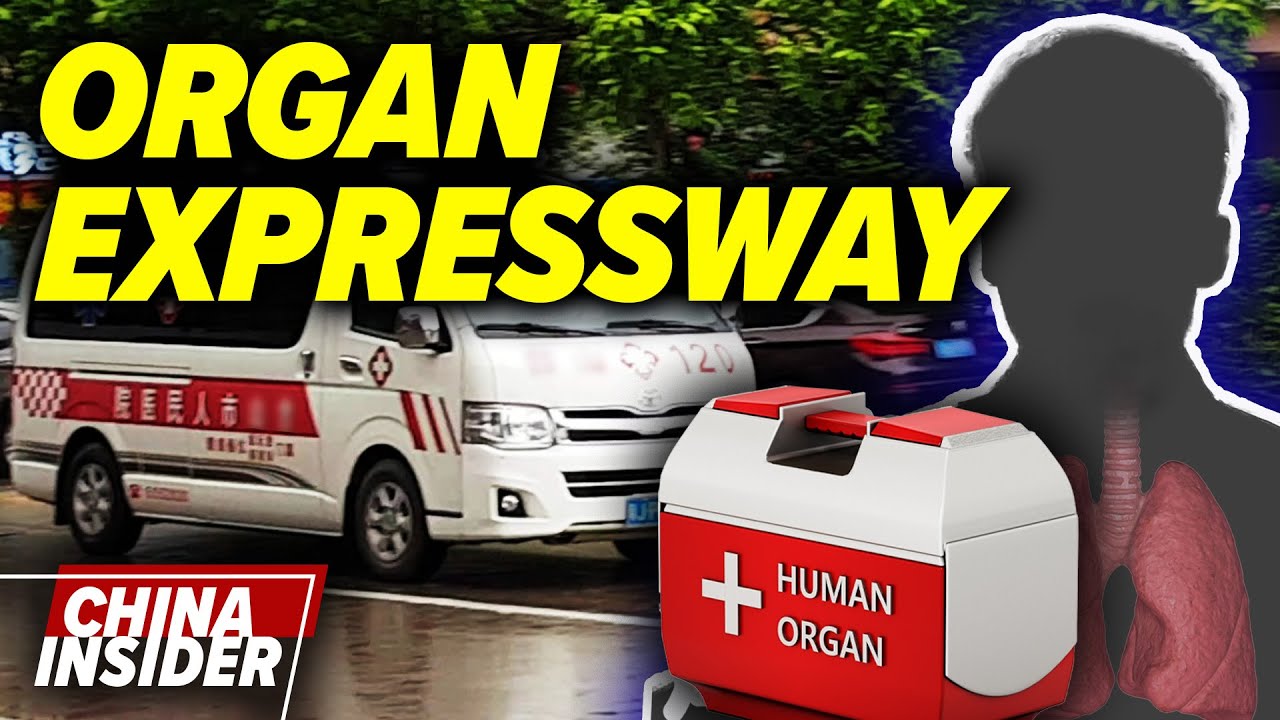 Crazy organ trafficking expressway in China