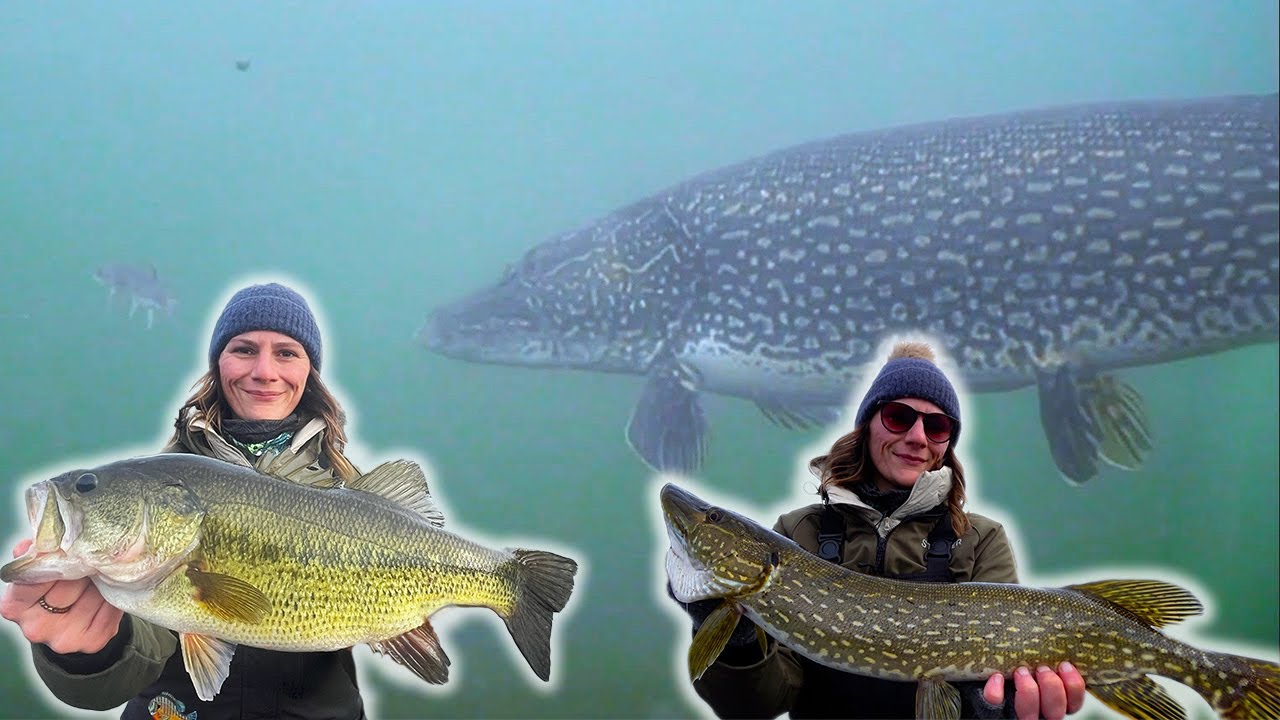 Chasing Tip-ups! Ice Fishing for PIKE