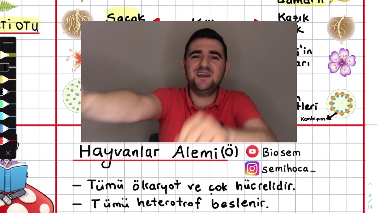 30-Canlıların Sınıflandırılması Bitkiler Alemi Konu Anlatımı 9. sınıf biyoloji tyt ayt yks 2022 pdf