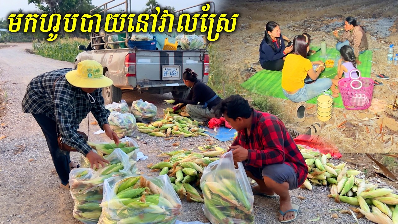 ប្តូរបរិយាកាសមកហូបបាយនៅវាលស្រែ ខ្យល់អាកាសត្រជាក់ស្រូលមែន