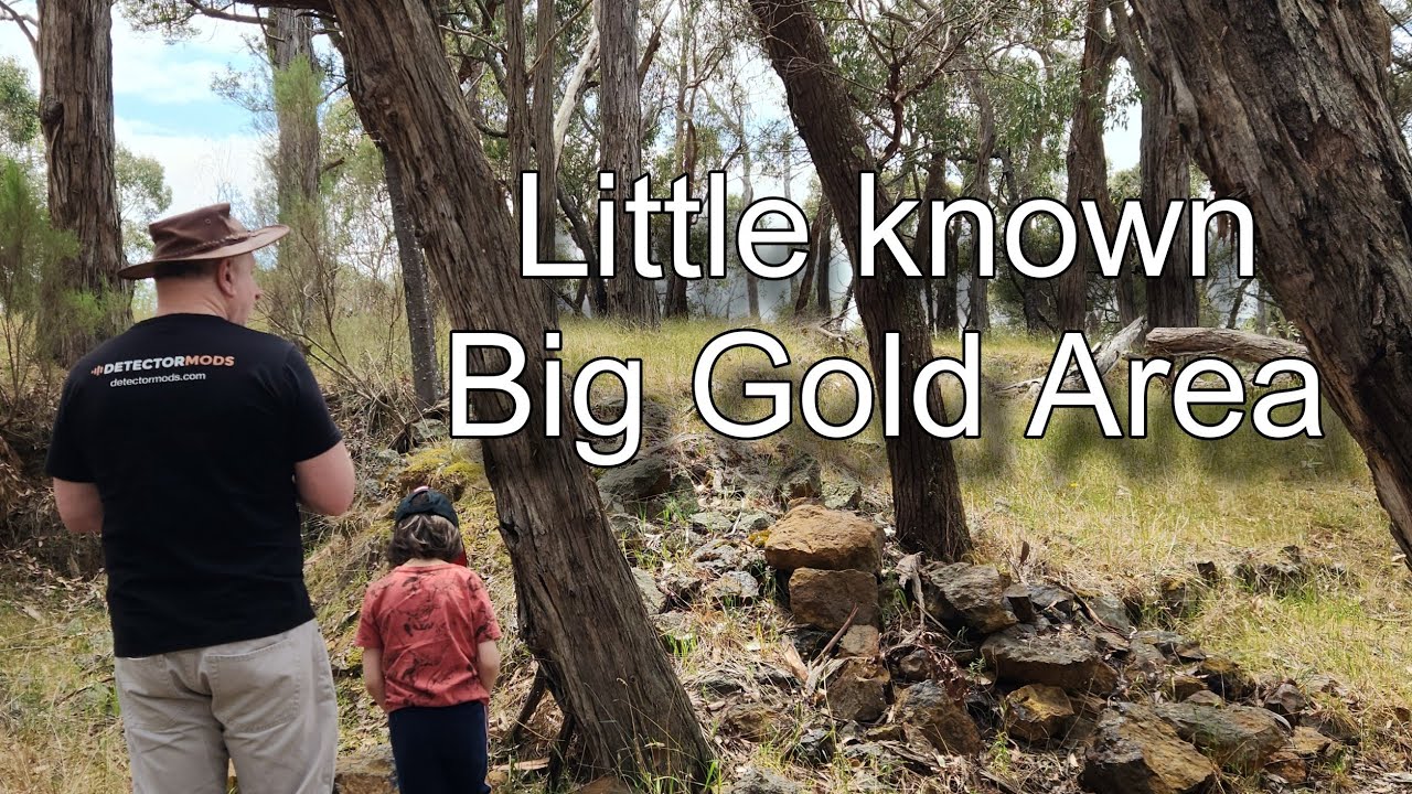 Big Gold Area that most prospectors do not know about.