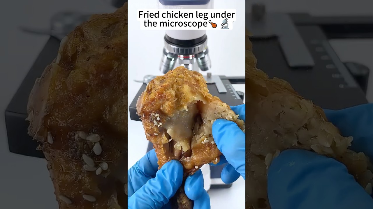 Fried chicken A Hidden World Under the Microscope &ndash; Bacteria Close-Up #science #microscope #biology