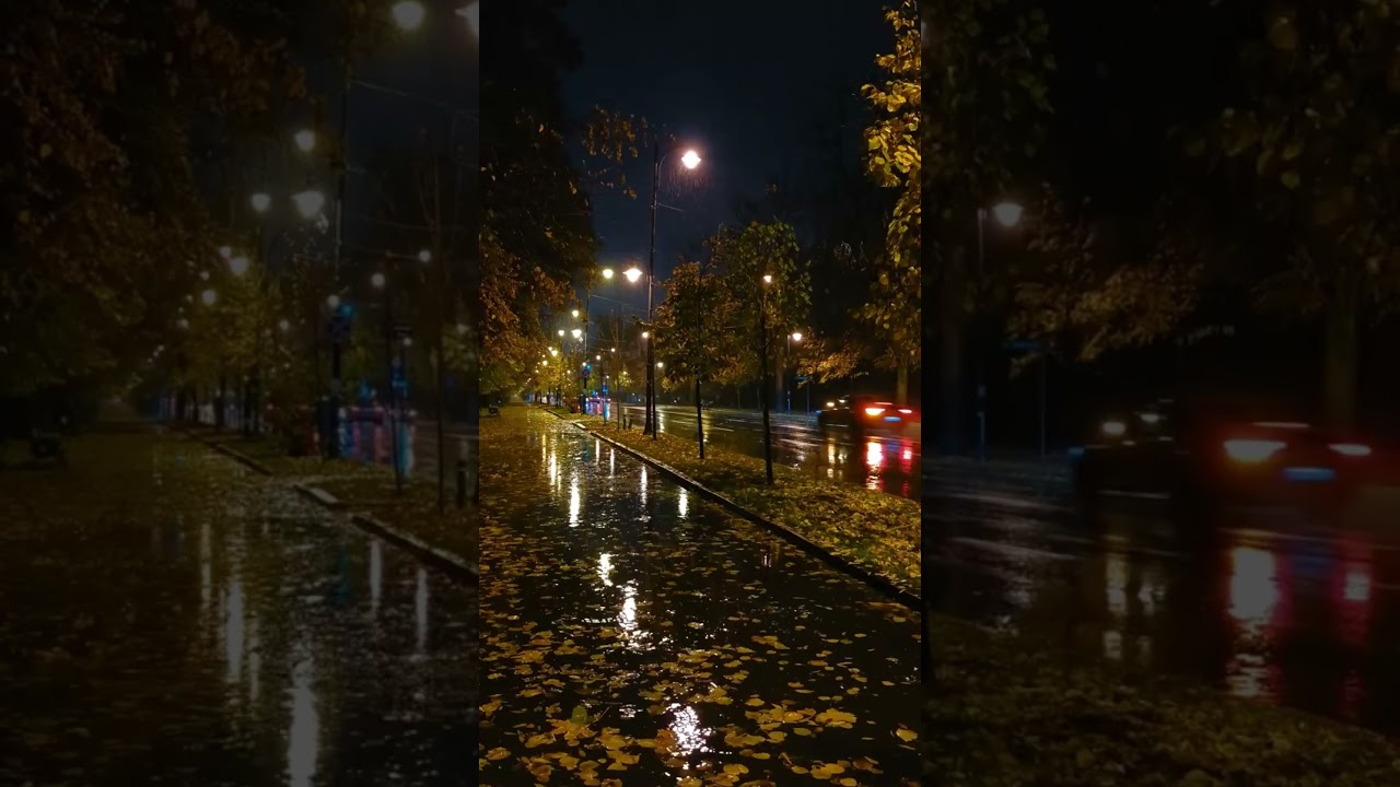 Midnight Rain: A Serenade of City Streets 🌧️