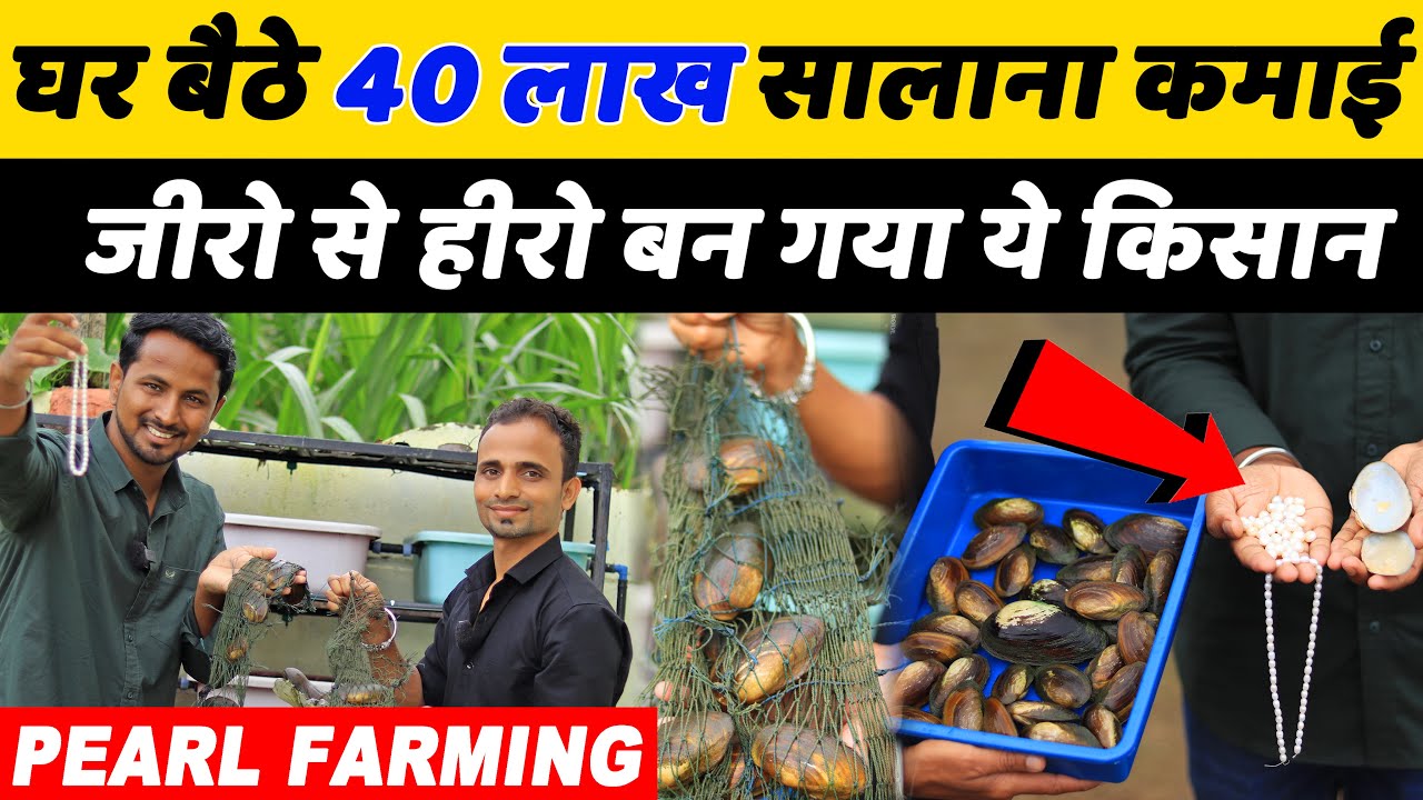 मोती की खेती A to Z सर्जरी, ट्रेनिंग तक की जानकारी💰👌Pearl Farming Business | Indian Farmer