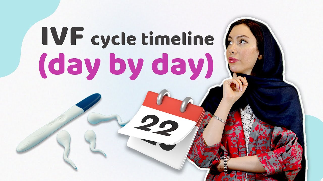 IVF Cycle Timeline: A Comprehensive Guide from Start to Finish | step-by-step guide to the IVF cycle
