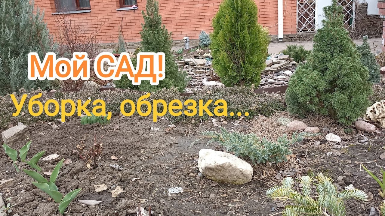 Работы в саду, уборка, обрезка цветников + прогулка!