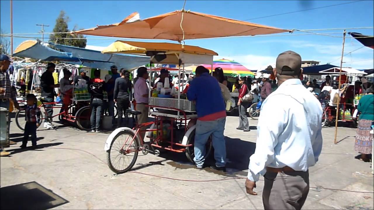 GUADALUPE VICTORIA DURANGO EL TIANGUIS