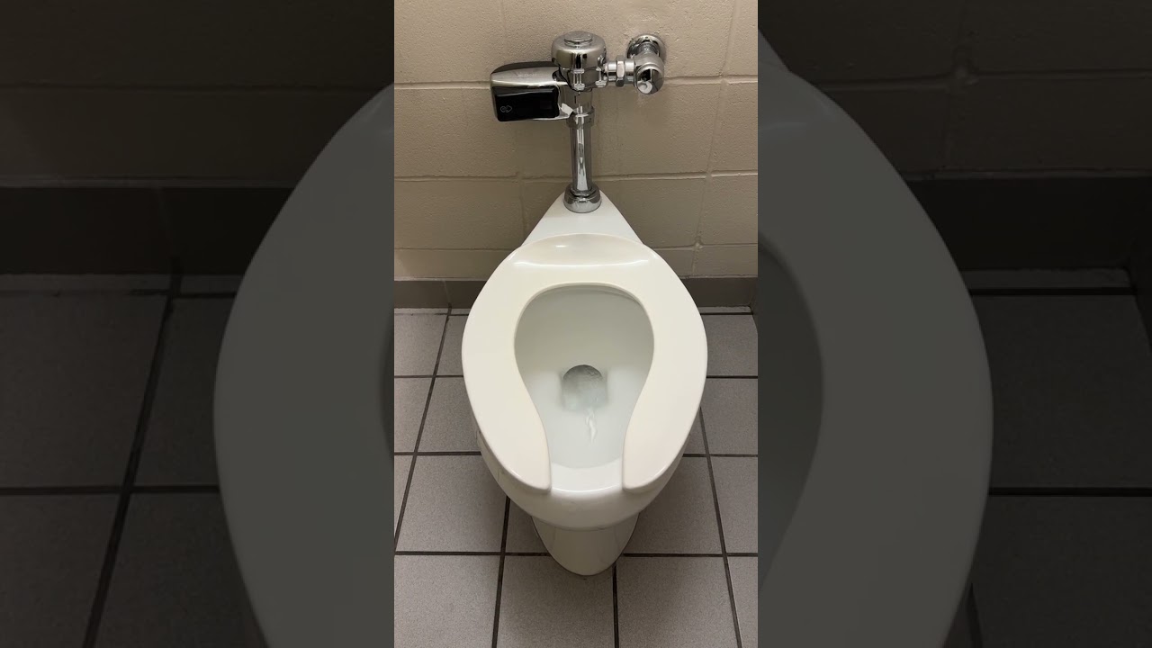 Evergreen School - Bathroom Tour