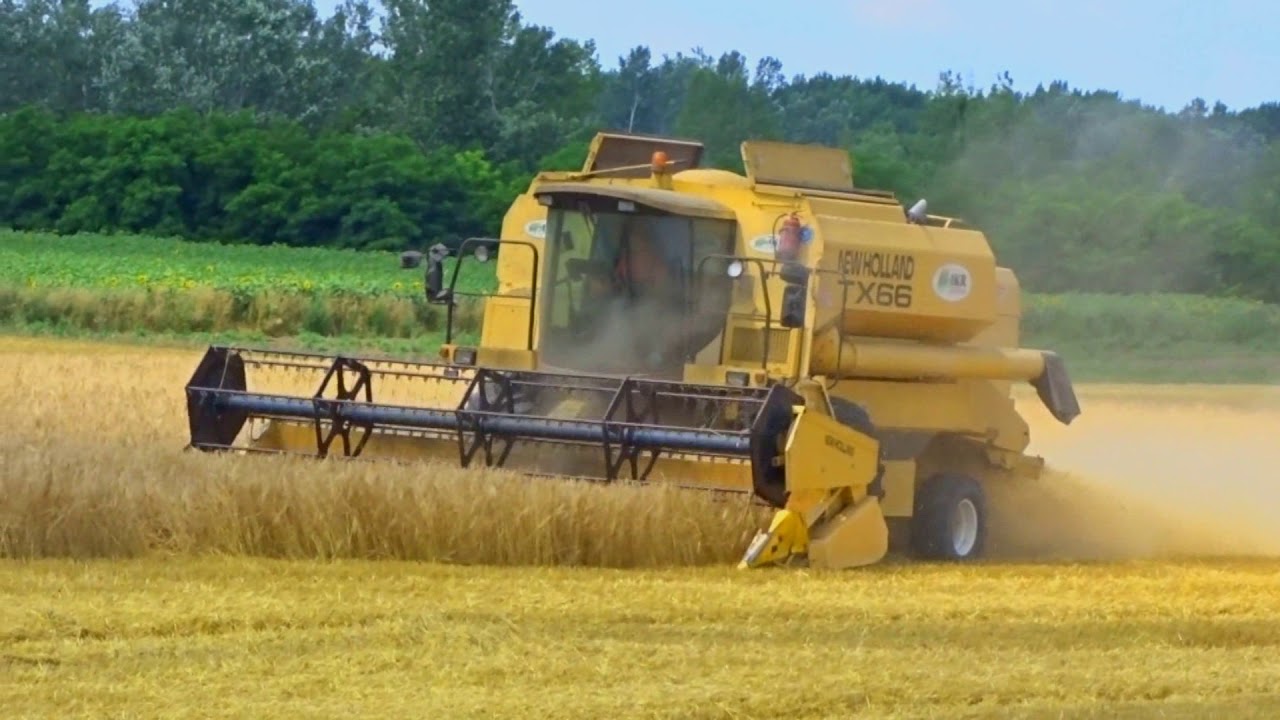|►ÁRPA ARATÁS||BARLEY HARVEST||2019||HUNGARY◄|| *1080P*