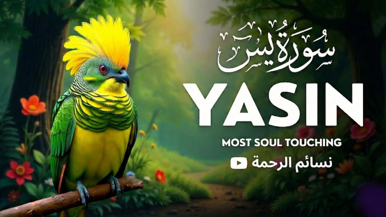 Surah Yaseen for  Protection & Peace of Mind | سورة يس | Most Peaceful Quran Recitation