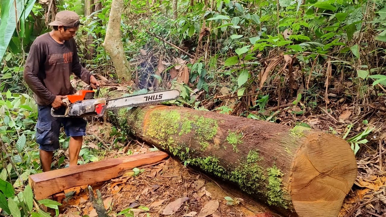 Sensasi mantap ‼️ kayu ulin berkualitas tinggi kami buat jadi papan membuat pilar.