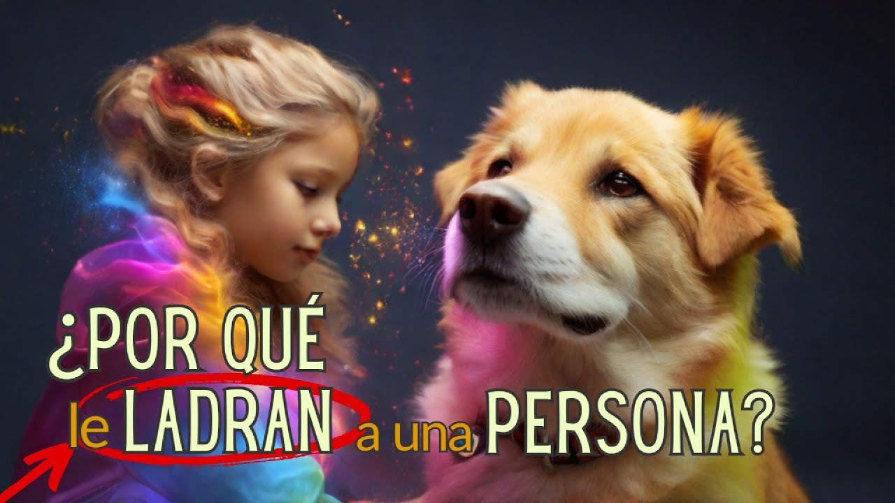 🔮&iquest;PUEDEN los PERROS VER el AURA de las PERSONAS? &iexcl;DESCUBRE el MISTERIO AQU&Iacute;! 🐾