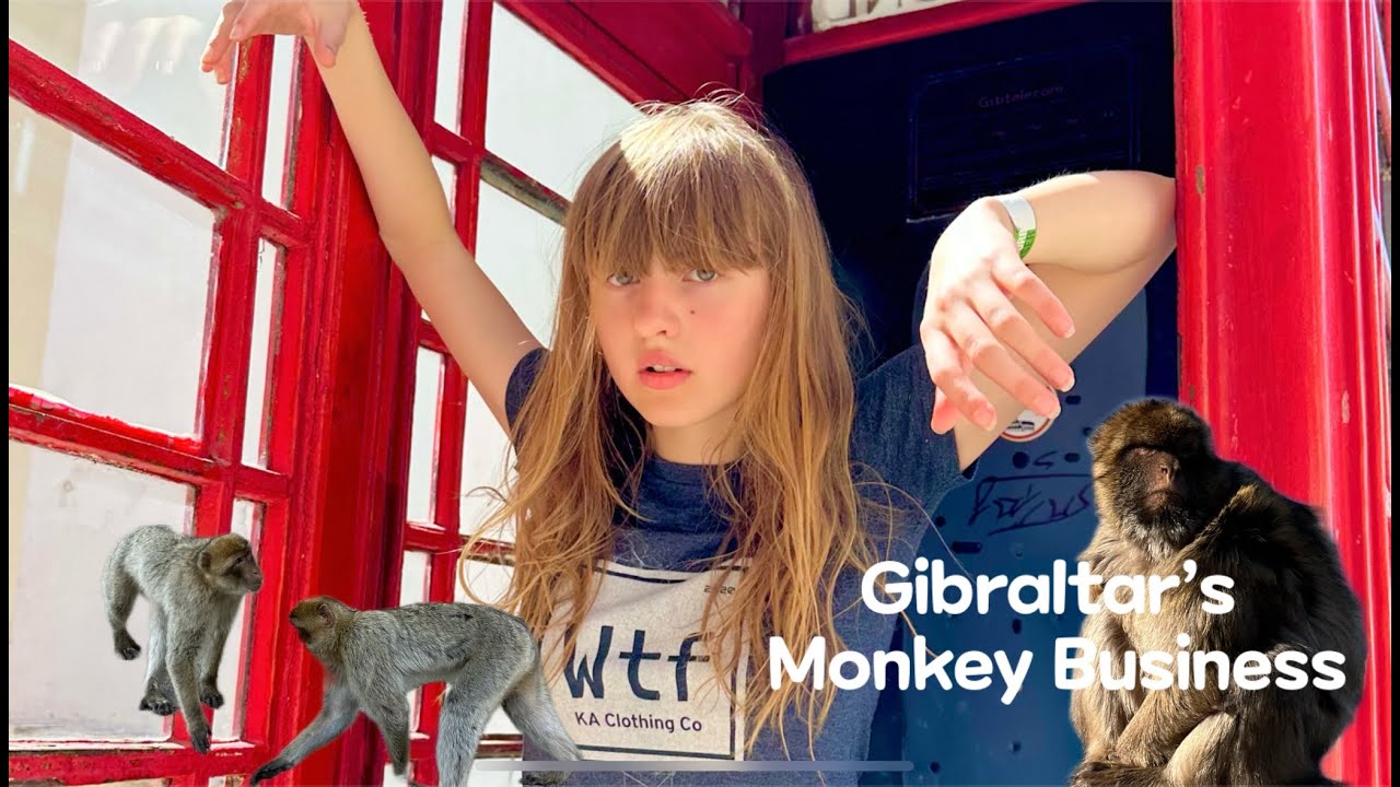 Gibraltar’s Monkey Business?