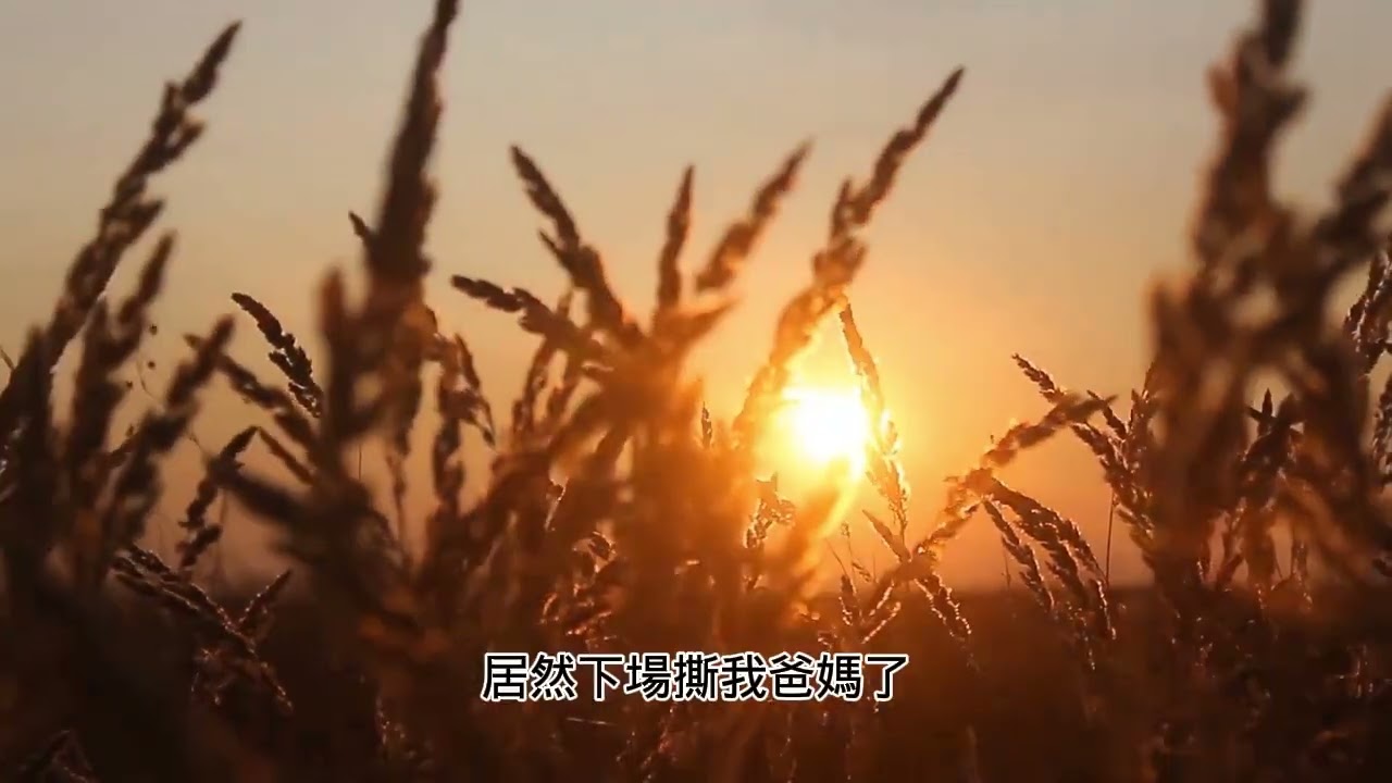 【完結文】妹妹為了立天才人設，偷走我的電塔設計圖自己上交，結果釀成巨大事故，上一世她把責任都推給我，全家幫她，我被網暴致死，重生 後我讓他們都死