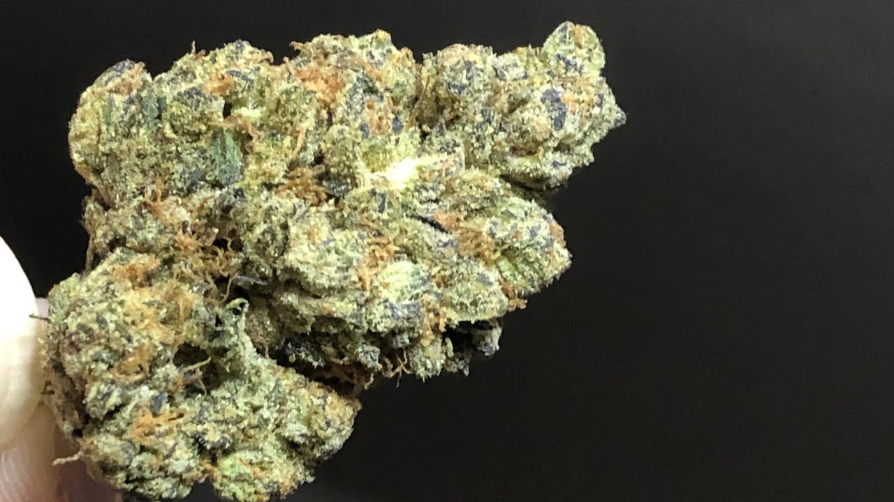 King Louie XIII strain review