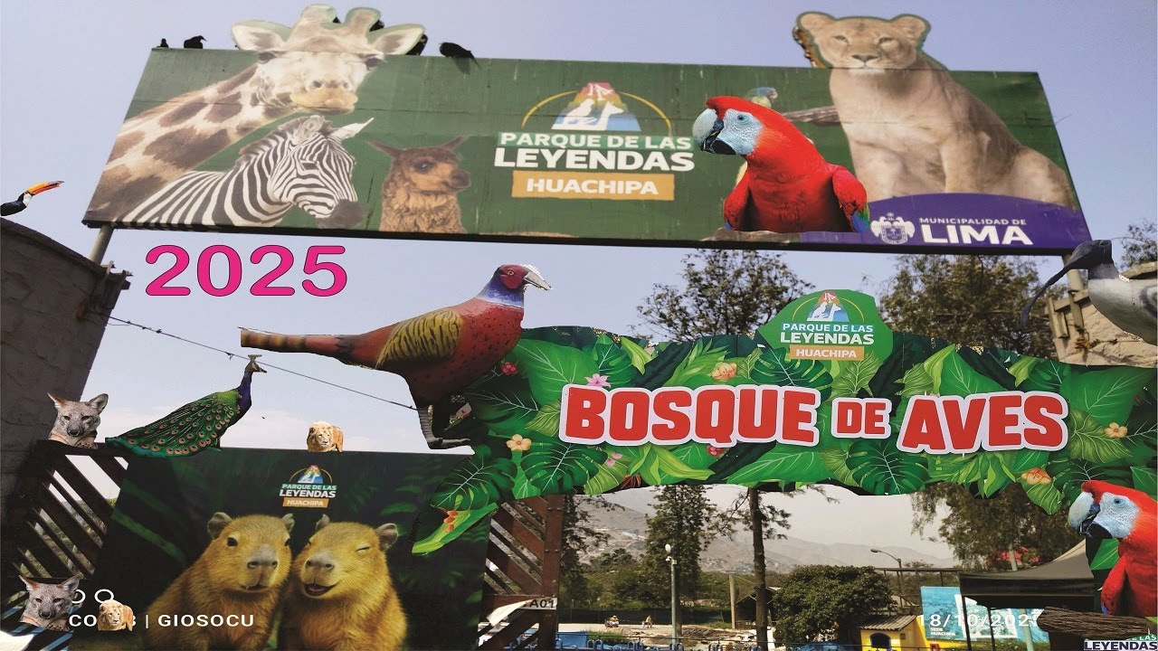 ZOOLÓGICO HUACHIPA - PARQUE DE LAS LEYENDAS SEDE HUACHIPA -  2025