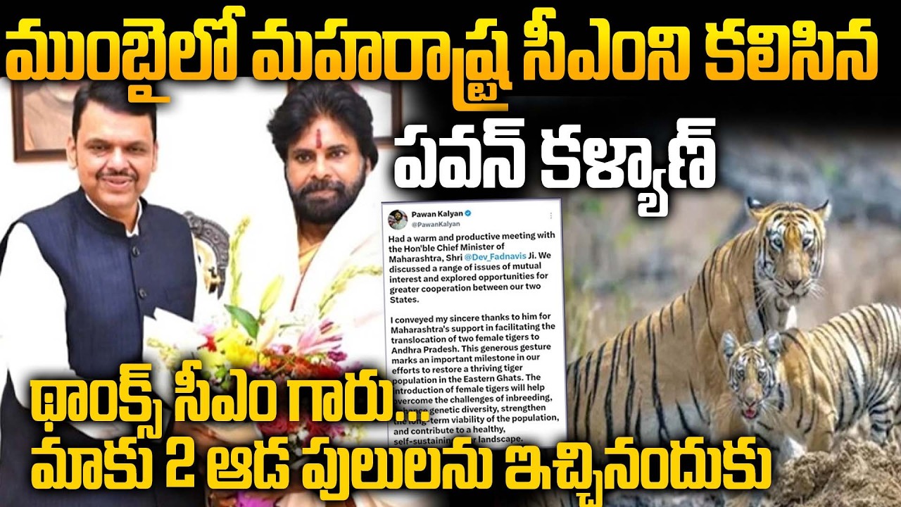 AP Deputy CM Pawan Kalyan Meets Maharashtra CM Devendra Fadnavis | Key Discussion in Mumbai