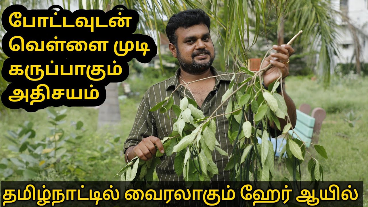 சட்டென வெள்ளை முடி கருப்பாக மாறும் | இயற்கை ஹேர் ஆயில் | yummy vlogs