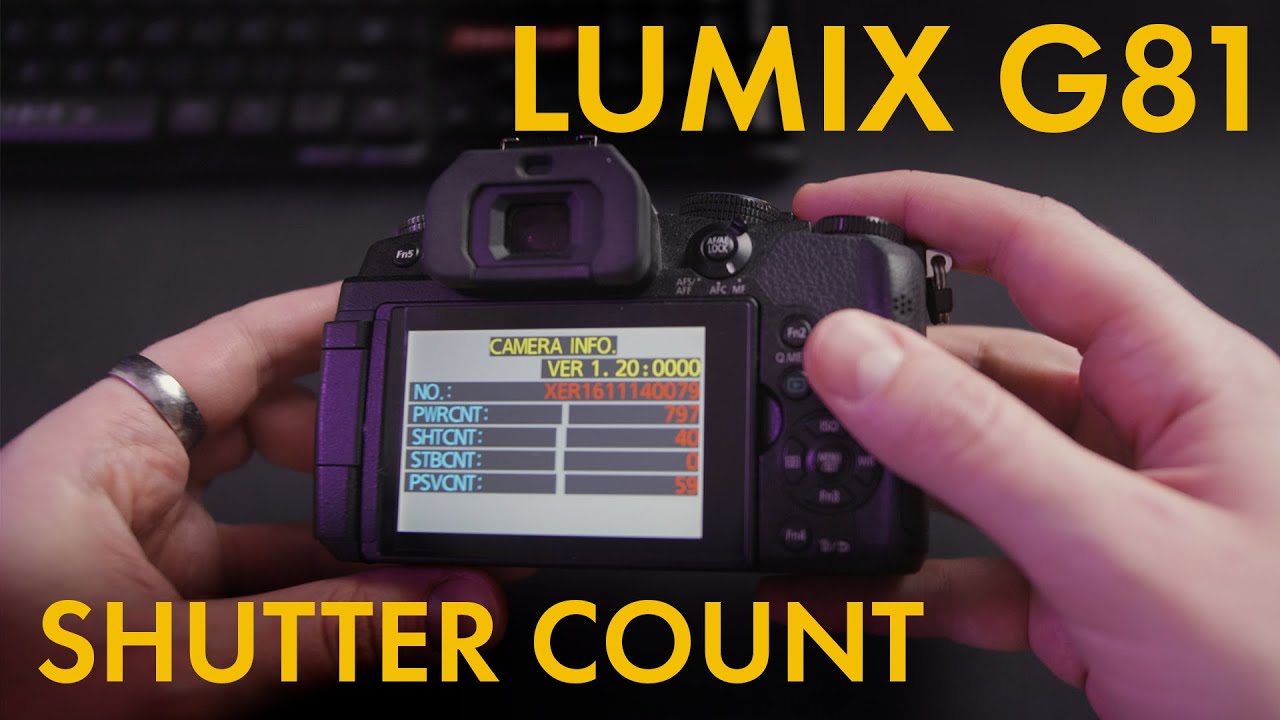 PANASONIC LUMIX G81 Shutter Count | Auslösungen auslesen