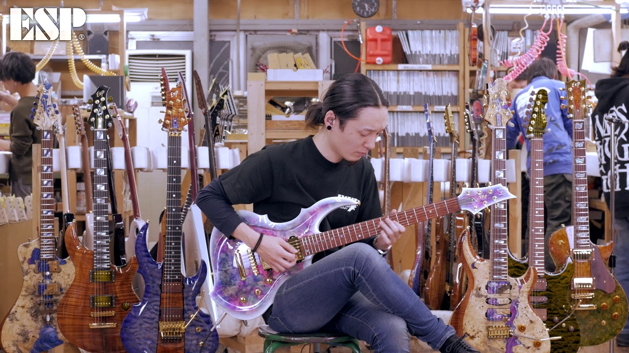 ESP Guitars: 2018 ESP Exhibition Limited EX18-12 FRX-CTM NT [4K]