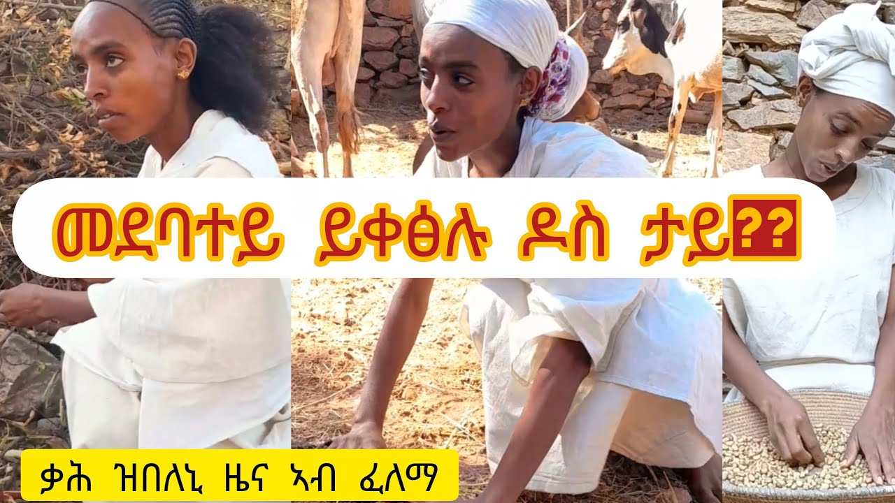 ቃሕ ዝበለኒ ዜና ኣብቲ ፈለማ እዚኣ እያ ነይራ #eritreanculture #eritreanmoviie #tigrayculture #habesha  