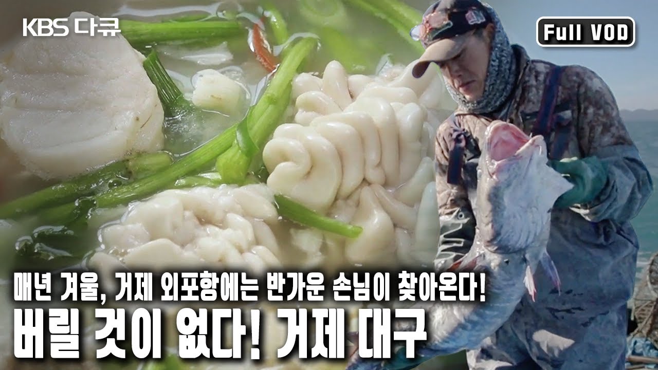 음식으로 해 먹으면 뭐하나 버릴 것이 없다는 대구! 거제 외포항 사람들의 대구와 닮은 이야기~ (KBS 20190224 방송)