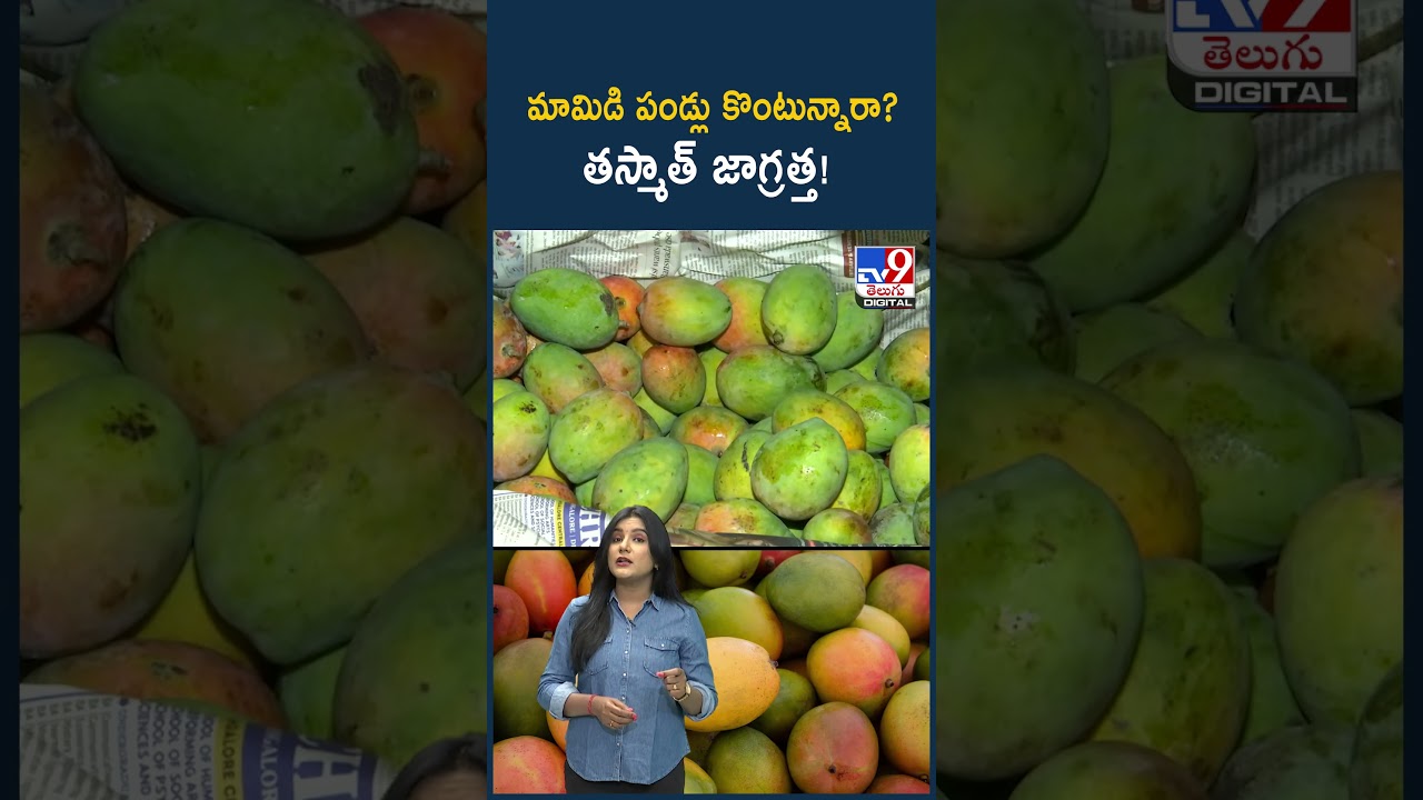 Mango | మామిడి పండ్లు కొంటున్నారా? తస్మాత్ జాగ్రత్త! - TV9