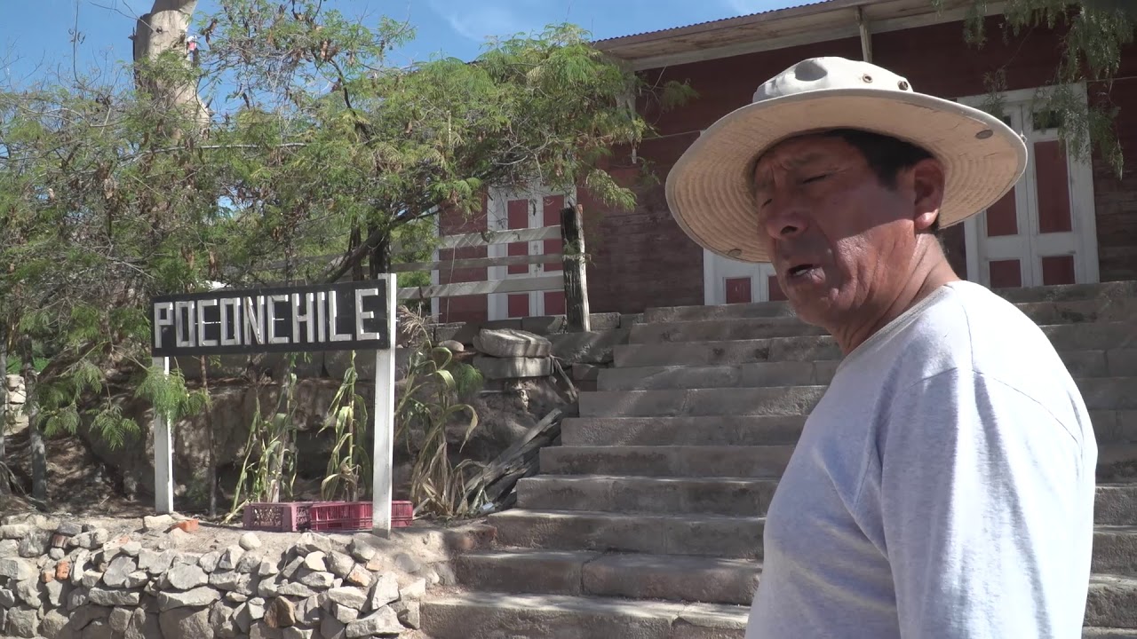 Territorios y Tesoros de la XV Región - Capitulo 2 Valle de Lluta