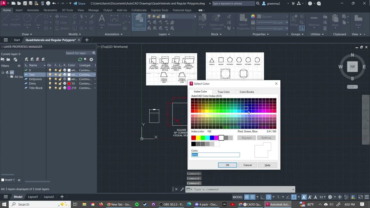 Polygons & Quads