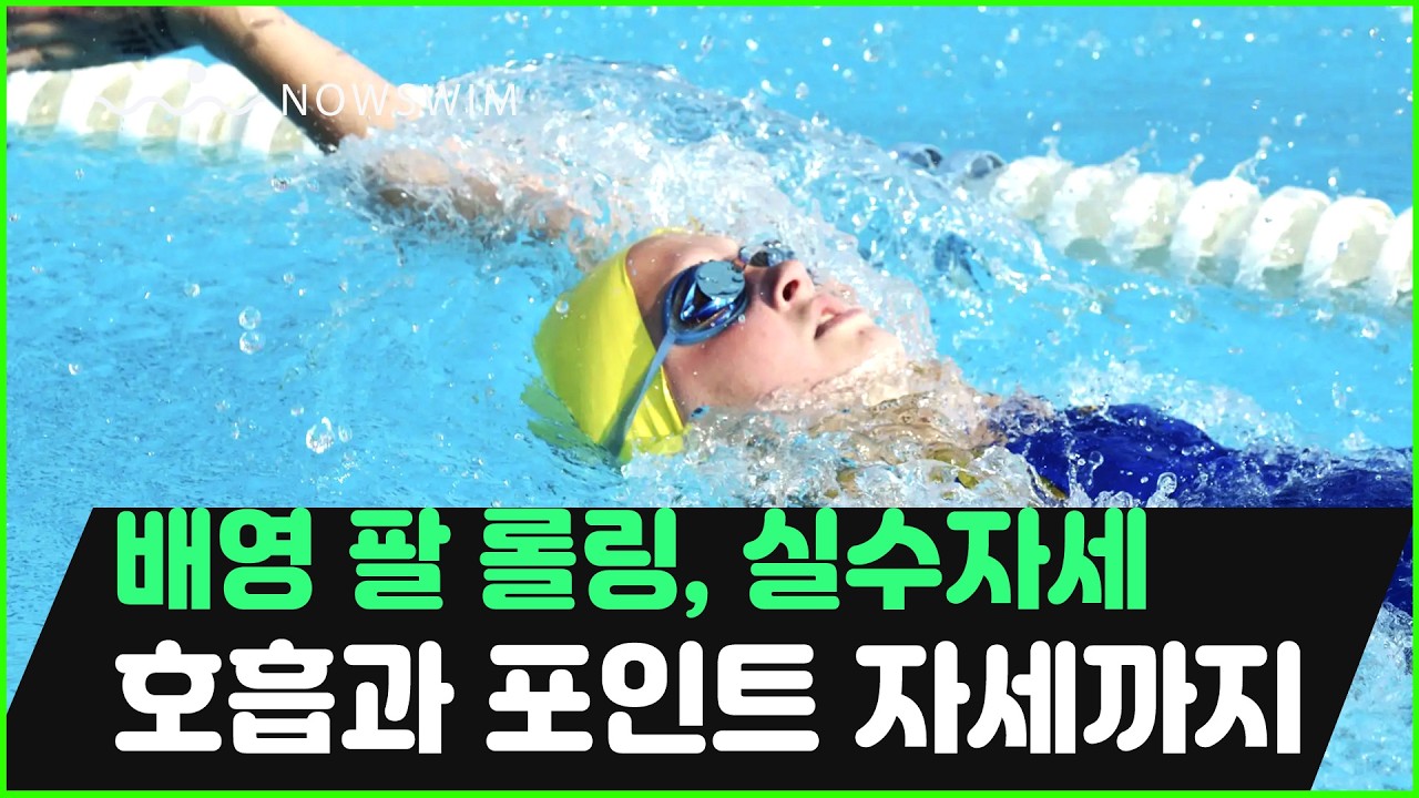 배영 감각 확 살아나는 롤링, 팔돌리기, 유선형라인, 실수교정까지 완벽 가이드