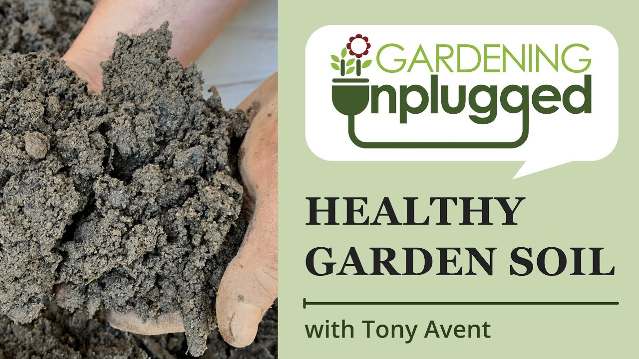 Gardening Unplugged -  Healthy garden soil (pro tips) with master gardener Tony Avent