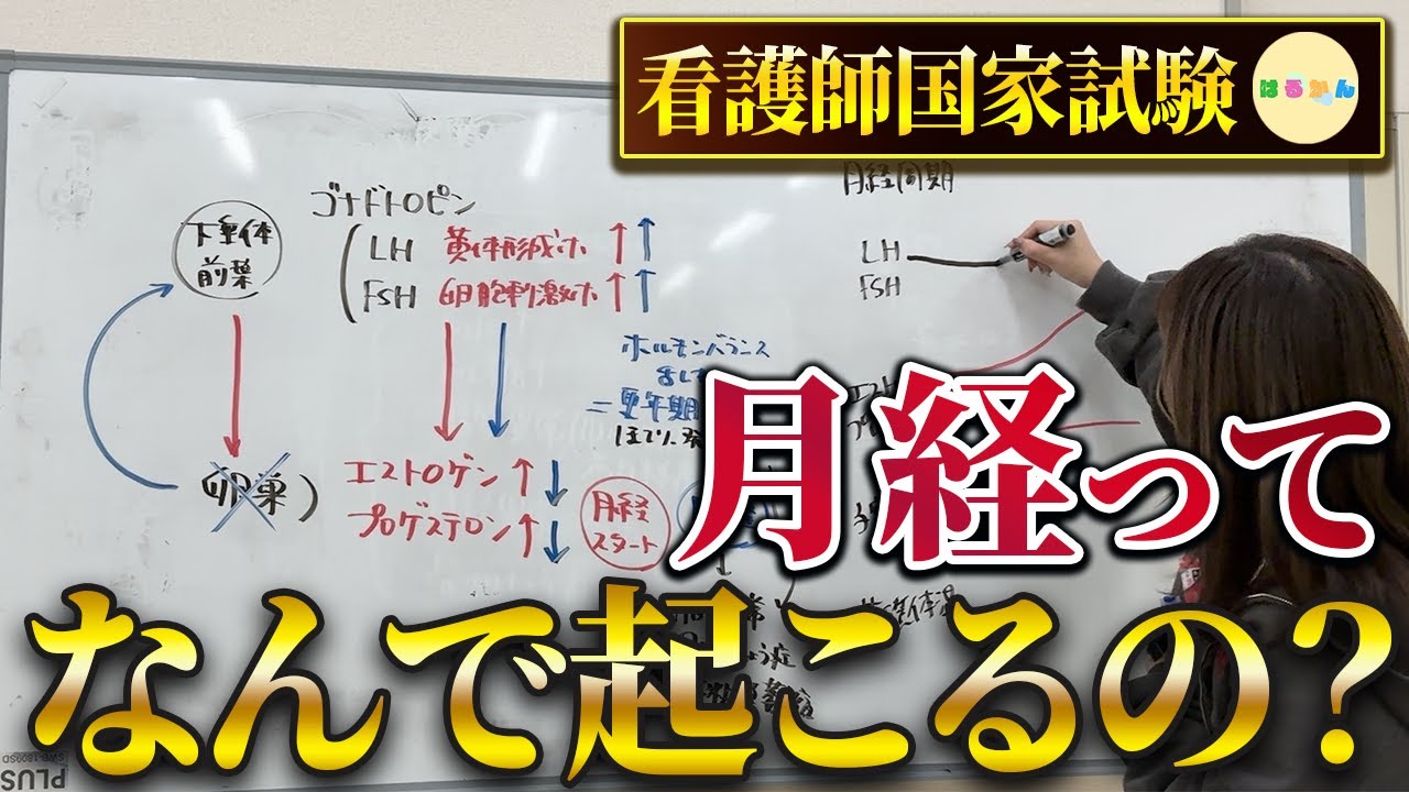 【月経ってなぜくるの？ホルモンとの関係は？】