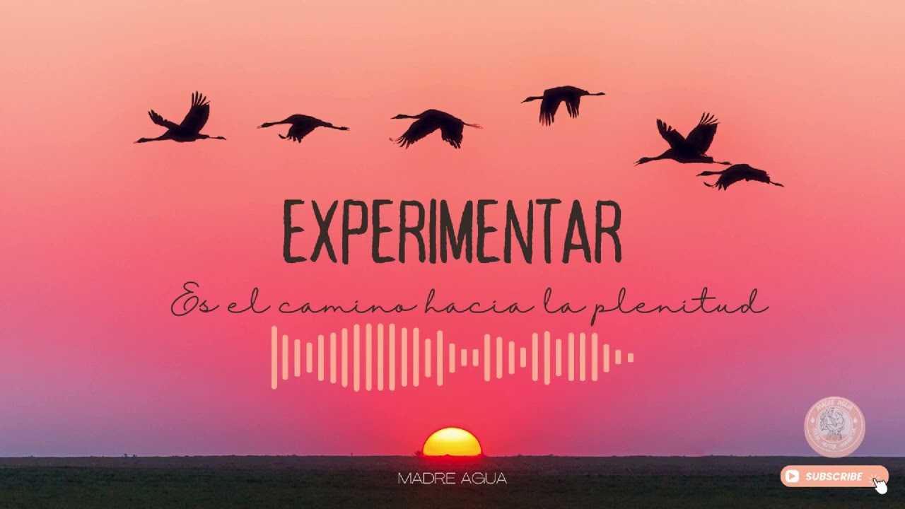 Mensaje de tu alma para tu situación actual#crecimientopersonal #sanaciones #amor