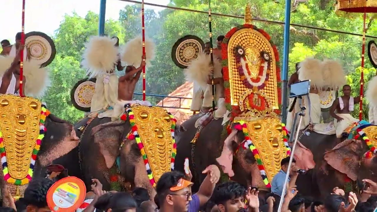 2025, തൃശൂർ പൂരം, ഇലഞ്ഞിത്തറമേളം.