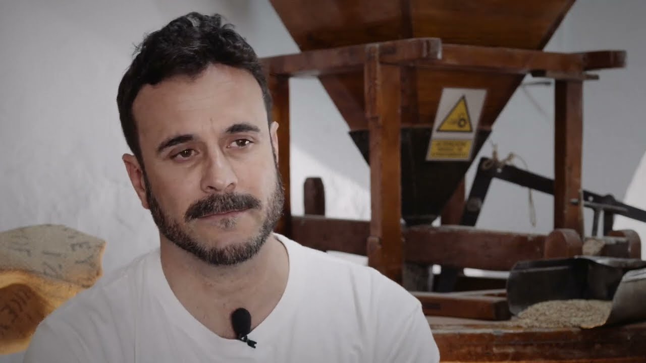 Harina molturada en piedra de primera calidad con Bartolomé