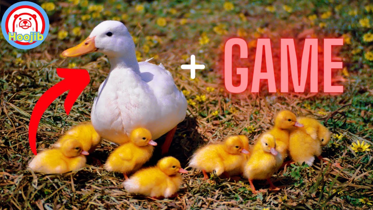 Play Duck Games, Win Duck Prizes (Duck Game) [Twitch Highlights]
