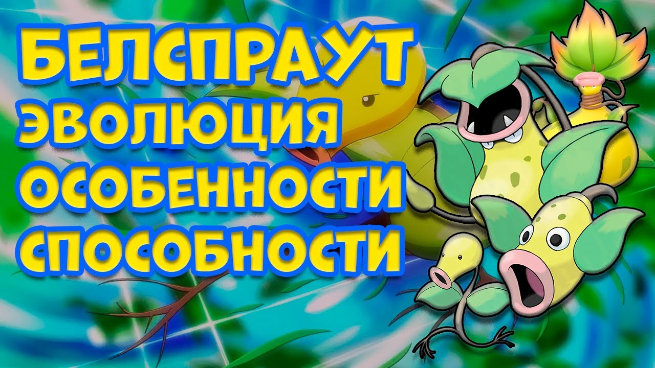 БЕЛСПРАУТ - ЭВОЛЮЦИЯ, ОСОБЕННОСТИ, СПОСОБНОСТИ