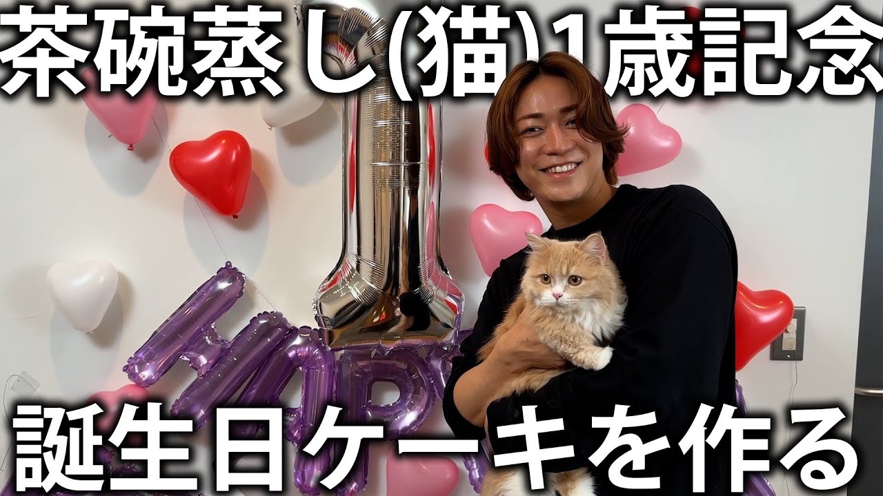 【祝】スタッフのキュートな猫ちゃんの1歳記念！誕生日ケーキを手作りして一緒にお祝いします！