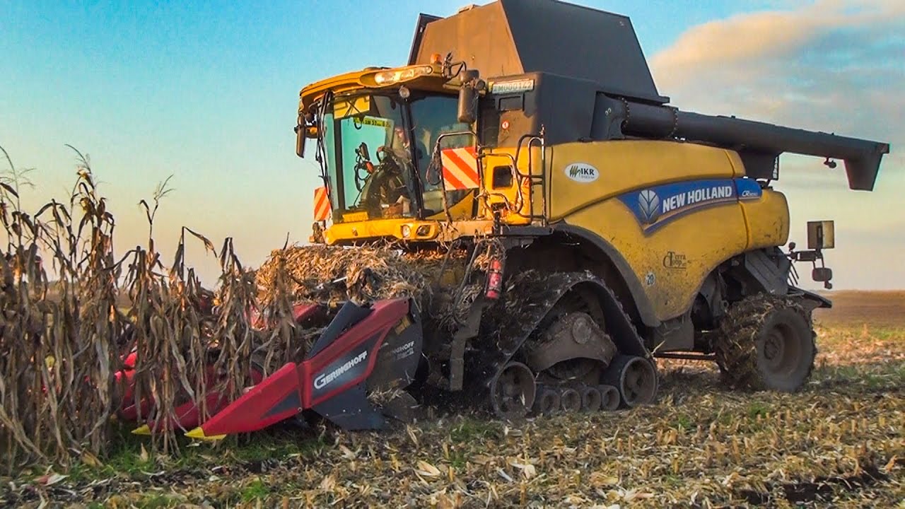 Kukorica aratás - New Holland CR9090 (Corn Harvest)