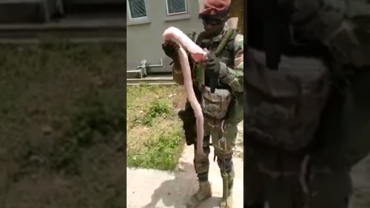 ZAMBIAN COMMANDOS SURVIVAL SKILLS