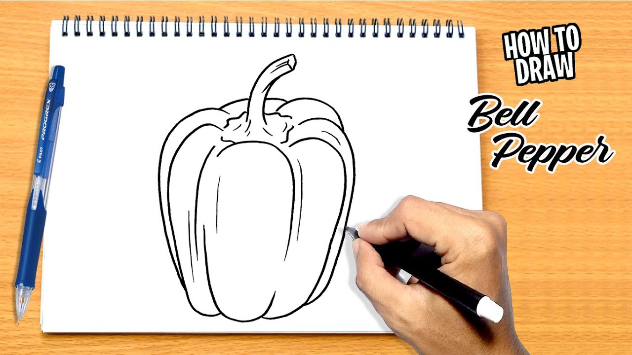 How to draw Bell Pepper