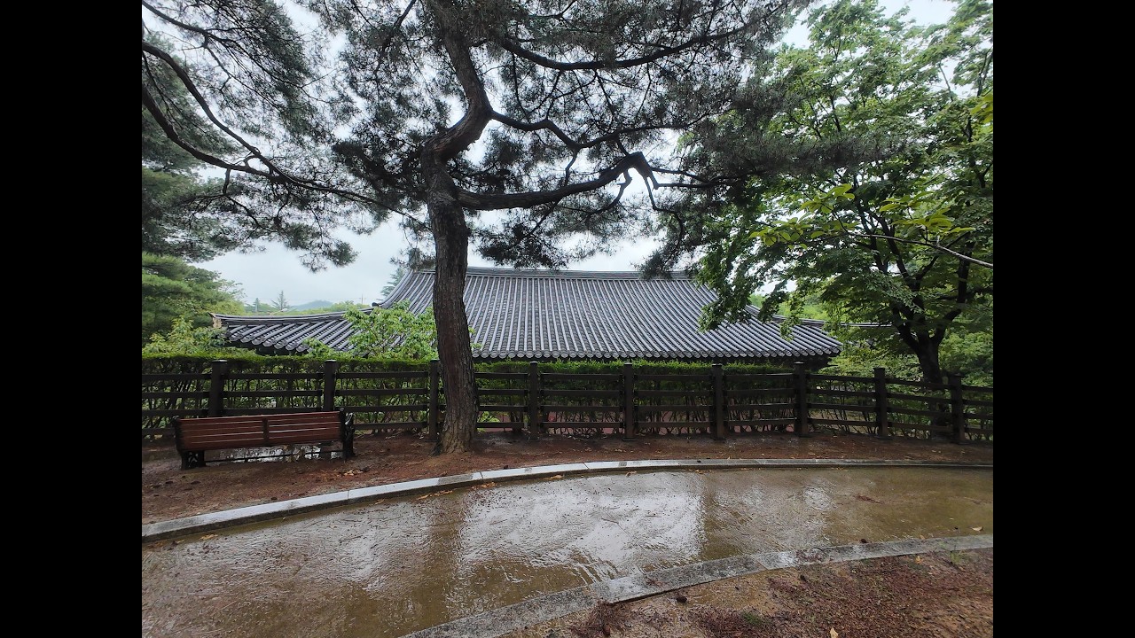 수면에 도움이 되는 빗소리/3분후 블랙영상