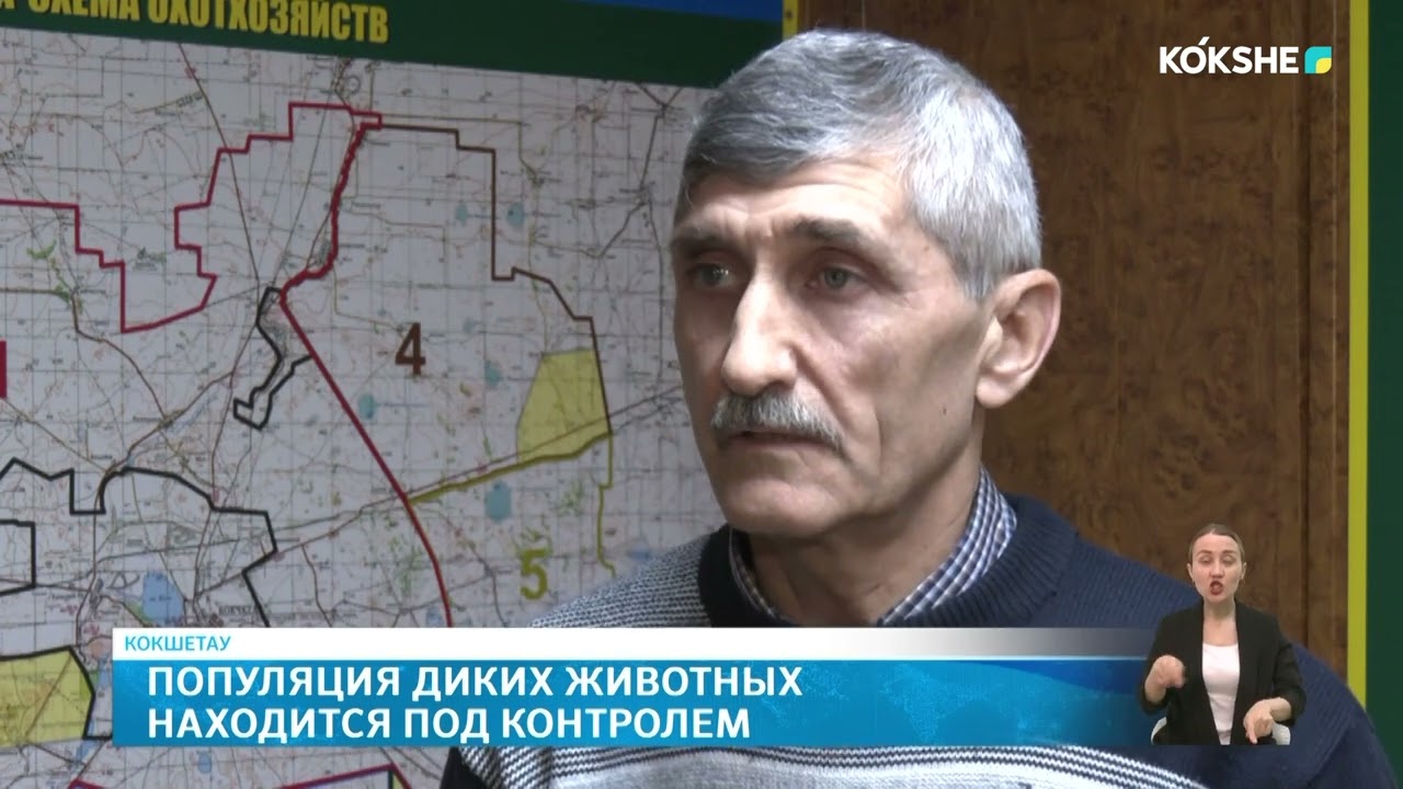 Популяция диких животных находится под контролем
